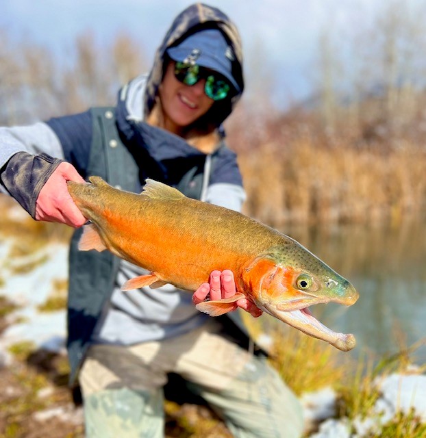 Fly of the Week with @anna_on_the_fly | Mercury Blood Midge